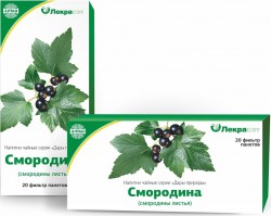 Смородины листья, ф/пак. 1.5 г №20 чайный напиток серии Дары природы